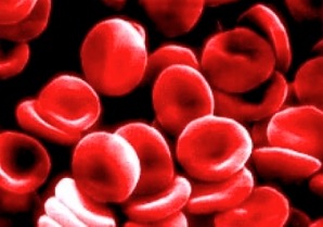 vérszegénység és leukémia